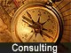 Consulting