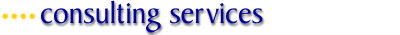 Consulting Services