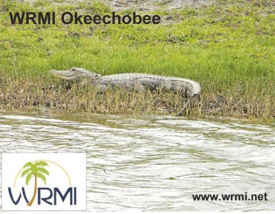QSL front for WRMI